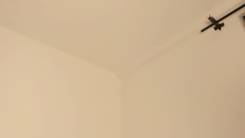     online show from 14, 2, 2025