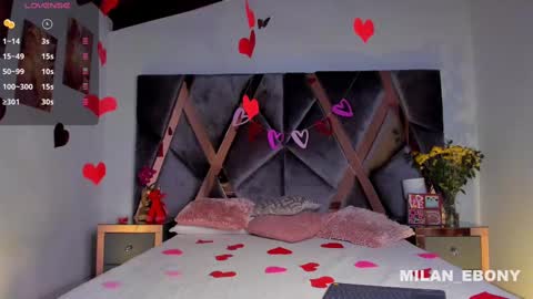 Milan  online show from 14, 2, 2025