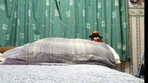 Snapshot of milfy72 chatting on 30, 1, 2025 milfy72 online show from 30, 1, 2025