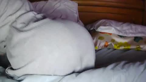 Snapshot of milfytitts chatting on 16, 10, 2025 MilfyTitts online show from 16, 10, 2025