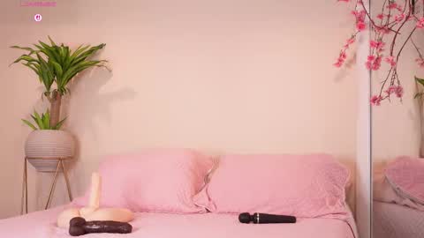    online show from 23, 10, 2025