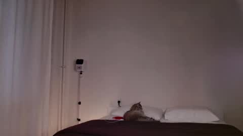 Snapshot of milky__way_ chatting on 5, 10, 2025 milky__way_ online show from 5, 10, 2025