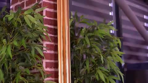 Milla online show from 10, 1, 2026