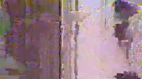 millhill17 online show from 25, 3, 2026