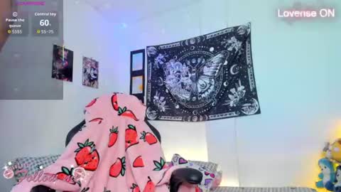        online show from 28, 7, 2026