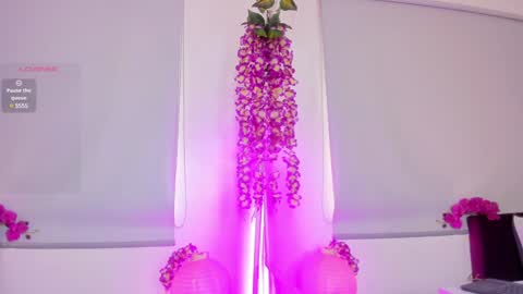  Milu Belucci  online show from 30, 1, 2025