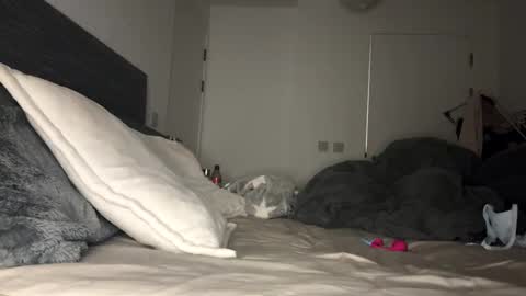 Snapshot of mimi_monroe1 chatting on 9, 11, 2025 Mimi Monroe online show from 9, 11, 2025