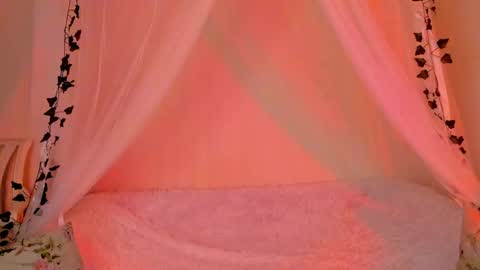 Misha online show from 5, 12, 2024