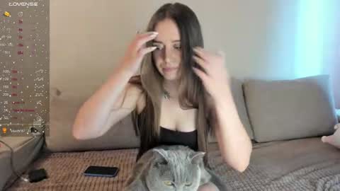 Kitty online show from 9, 7, 2026