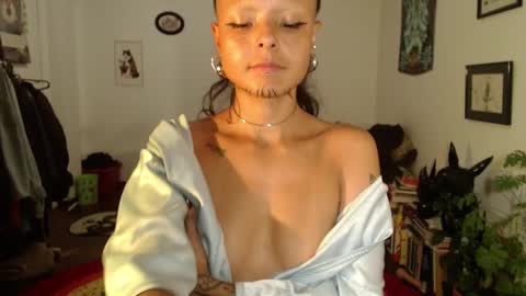 Snapshot of missanarky chatting on 11, 2, 2025 Anarkitten online show from 11, 2, 2025