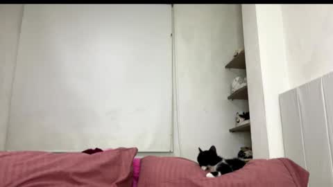 missangeldust online show from 27, 10, 2025