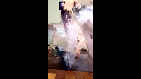 missb901 online show from 14, 3, 2026