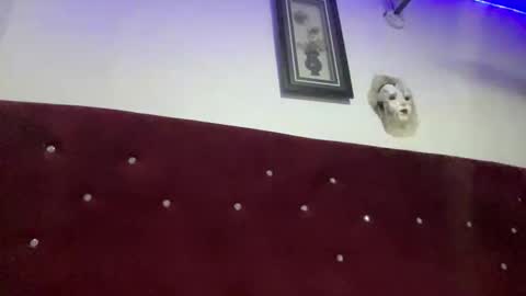 Missbelle online show from 28, 2, 2026