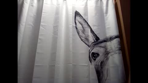 MissEeva online show from 19, 12, 2024