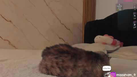 Sami Evan online show from 22, 4, 2026