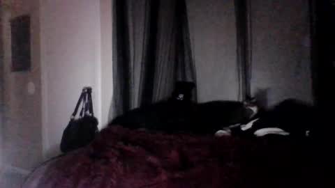 missgospel online show from 27, 2, 2025