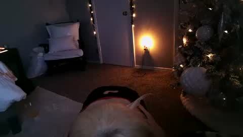 Snapshot of mmmmmwah chatting on 11, 12, 2024 Angel online show from 11, 12, 2024