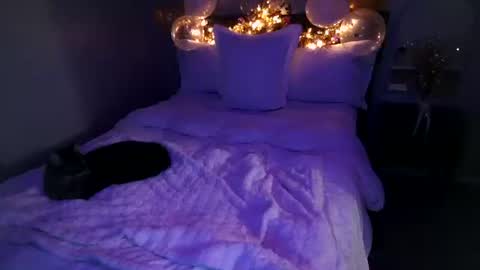 Snapshot of mmmmmwah chatting on 20, 2, 2026 Angel online show from 20, 2, 2026