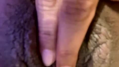 mmmtara online show from 30, 6, 2026