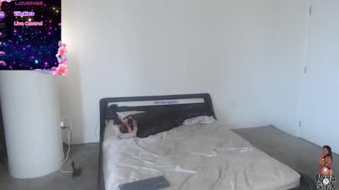 NynaStax online show from 29, 12, 2024