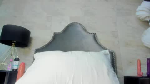 Snapshot of models_sophia chatting on 24, 6, 2026 Sophia online show from 24, 6, 2026