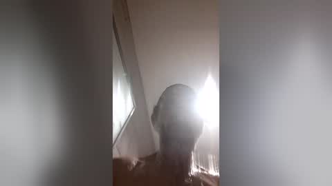 moemoe14 online show from 2, 7, 2026