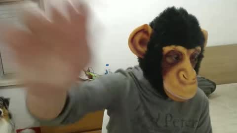 molkreid2 online show from 5, 4, 2026