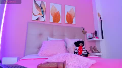    online show from 13, 11, 2025