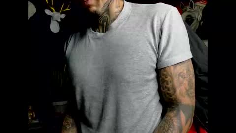 Snapshot of molotov_explosive chatting on 2, 2, 2026 Molotov online show from 2, 2, 2026