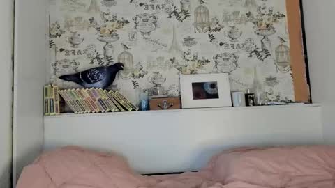 Liza online show from 15, 9, 2025