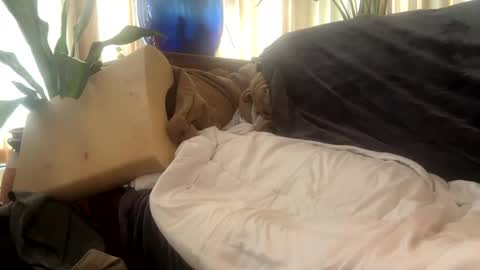 Mitchell online show from 29, 9, 2025