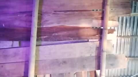 Snapshot of moon_roxee chatting on 4, 1, 2025 moon_roxee online show from 4, 1, 2025