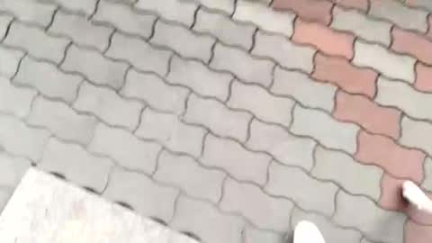 moos1 online show from 12, 9, 2025