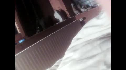 moos1 online show from 16, 9, 2025