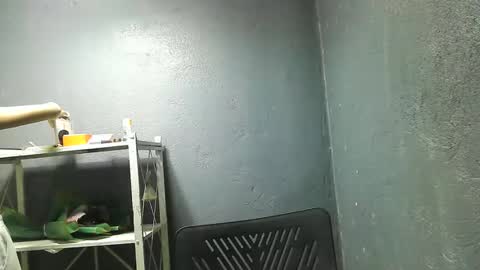 Snapshot of morenang_pinay chatting on 23, 11, 2025 morenang_pinay online show from 23, 11, 2025