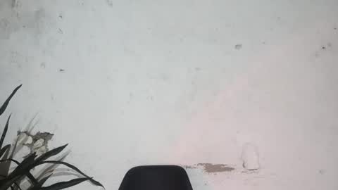 John john online show from 24, 2, 2025