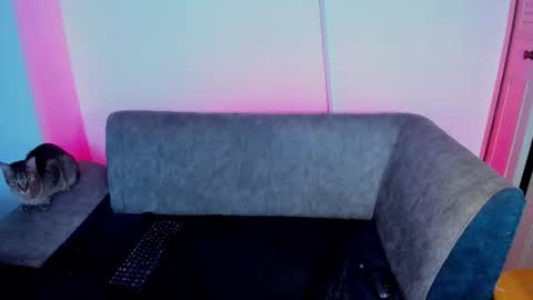 morgana_noctis online show from 28, 7, 2026