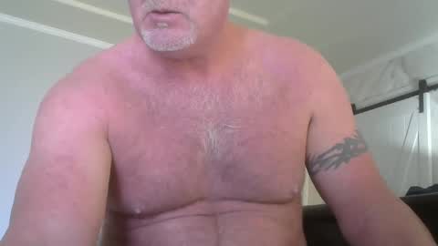 Snapshot of motorguy08 chatting on 4, 12, 2024 motorguy08 online show from 4, 12, 2024