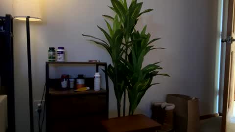 Sequoia-Cocked Hombre de Sur online show from 1, 2, 2026