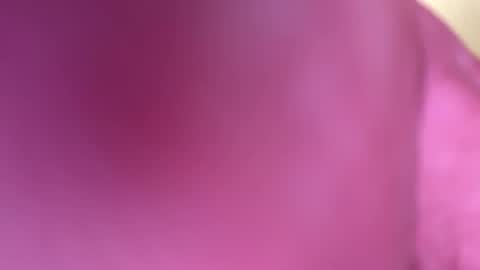 mr6ray online show from 8, 1, 2025