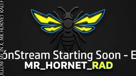 mr_hornet_rad online show from 27, 4, 2026