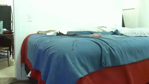 Chocolate meat pole 6511 online show from 22, 11, 2025