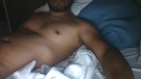 Gato online show from 4, 12, 2024