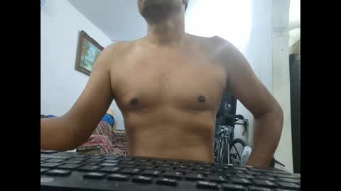 Gato online show from 4, 1, 2025