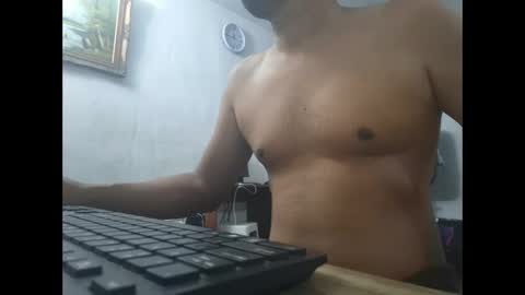 Gato online show from 8, 1, 2025