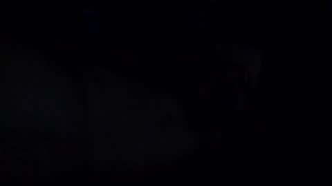 MrBiSexy online show from 13, 10, 2025