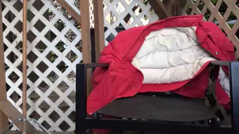 mrjohnlbrown online show from 7, 3, 2026