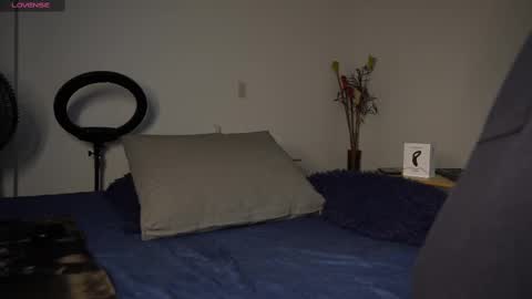 Luis    Instagram   online show from 23, 2, 2025