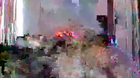 mrmountainman91 online show from 22, 12, 2025