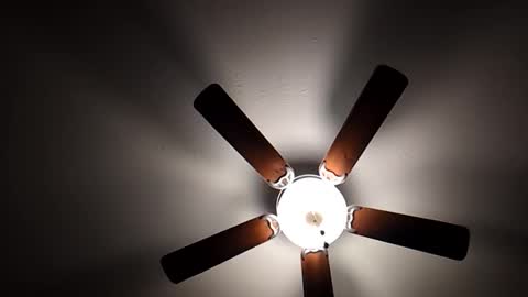 mrorange50187 online show from 1, 12, 2024